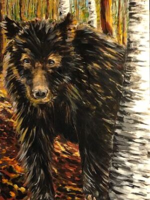 Painting of a black bear by Jenny Gordon